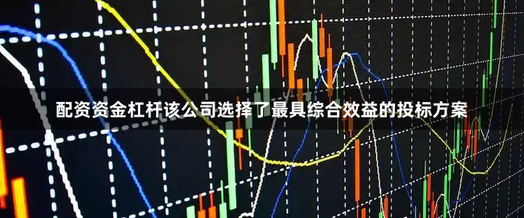 配资资金杠杆该公司选择了最具综合效益的投标方案