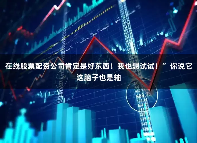 在线股票配资公司肯定是好东西！我也想试试！” 你说它这脑子也是轴